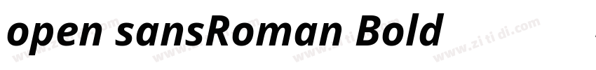 open sansRoman Bold免费字体下载字体转换